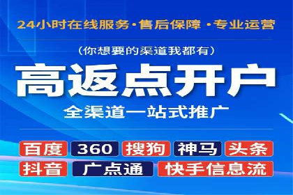 SEO百度推广策略：成功案例解析
